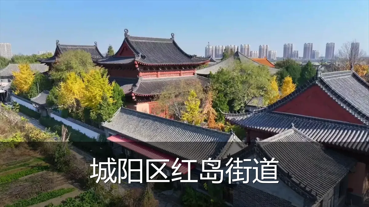城阳区红岛街道